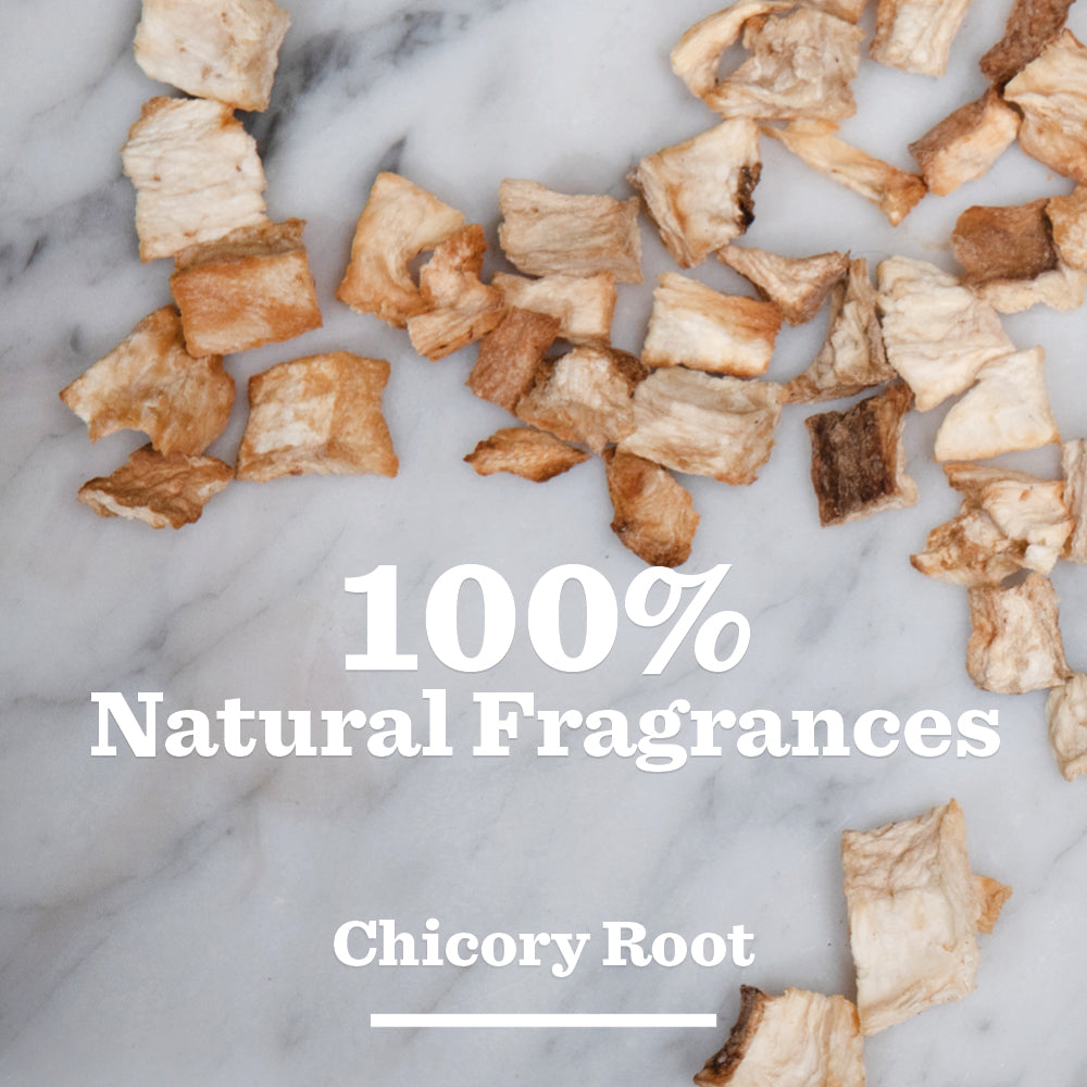 Scattered dried chicory root pieces on white marble with text: Original Shampoo—100% natural fragrances, made with chicory root and natural ingredients; perfect for mens hair care.