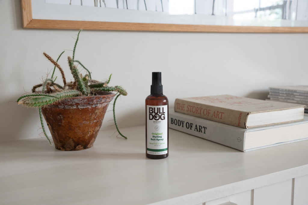 A bottle of Original Hair Styling Salt Spray, made with naturally derived ingredients, sits on a light-colored surface next to a potted cactus and two stacked books titled THE STORY OF ART and BODY OF ART. A framed picture hangs above.